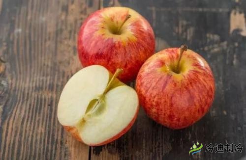 蘋果冷庫儲藏特點,保鮮冷庫造價及影響因素(圖1) 蘋果冷庫儲藏特點,保鮮冷庫造價及影響因素(圖1)