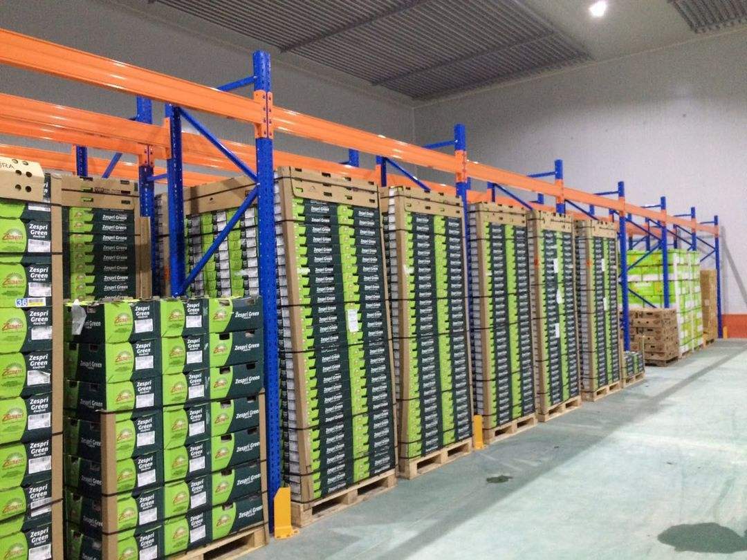 建造200噸火龍果水果保鮮冷庫(kù)需要多少錢(qián)?