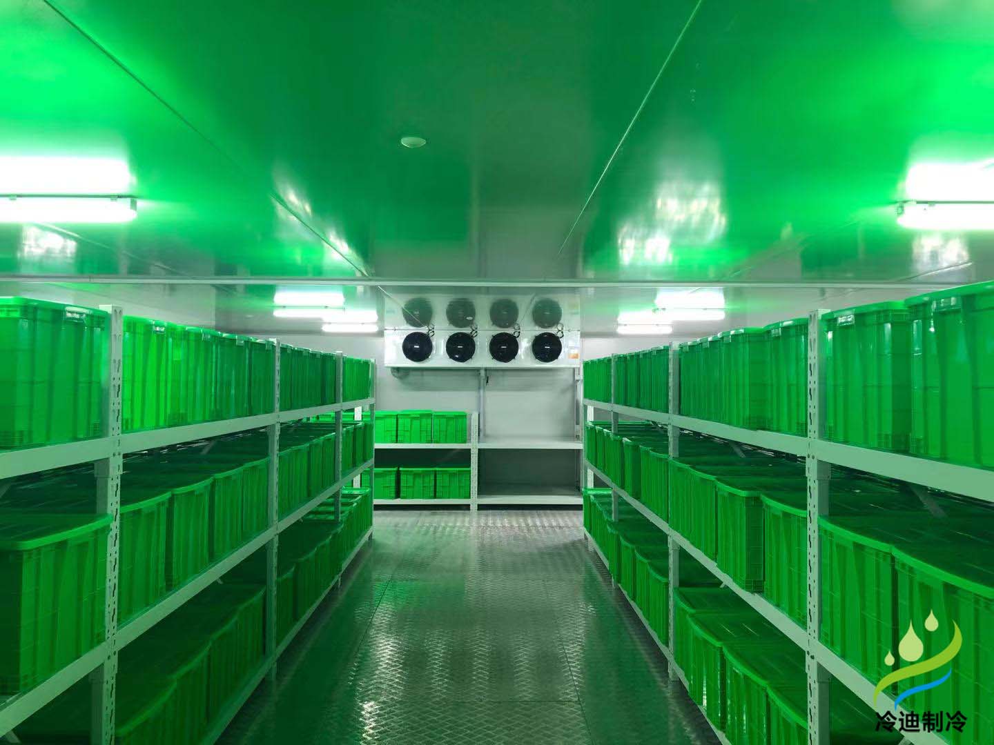 在河北安裝一個冷庫需要多少錢？