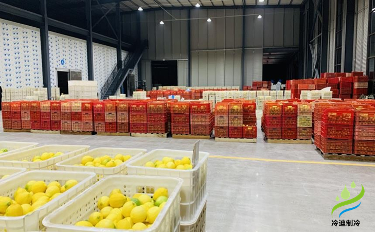 水果冷庫建設成本多少錢一平方米？