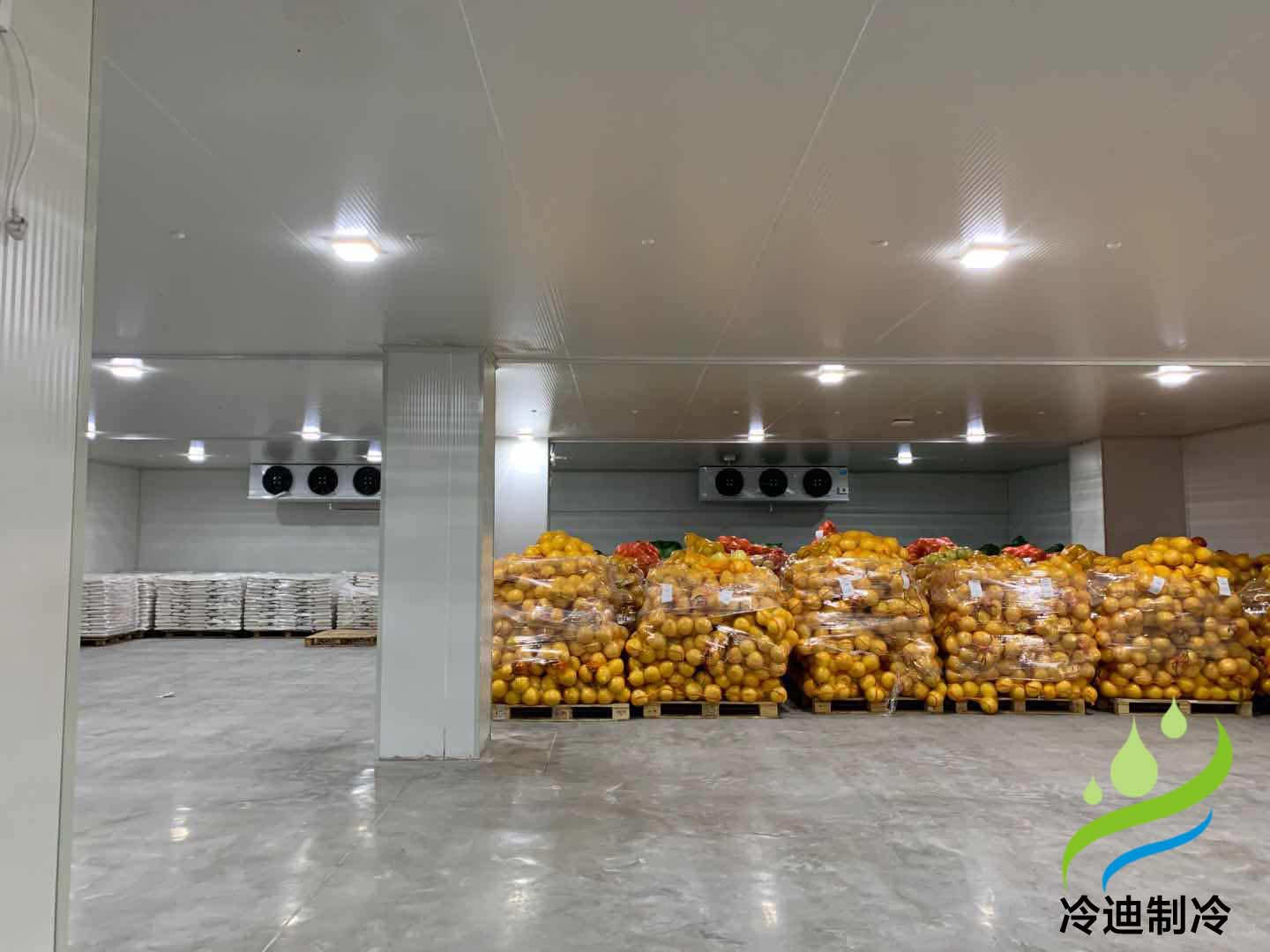 水果冷庫建設成本多少錢一平方米？