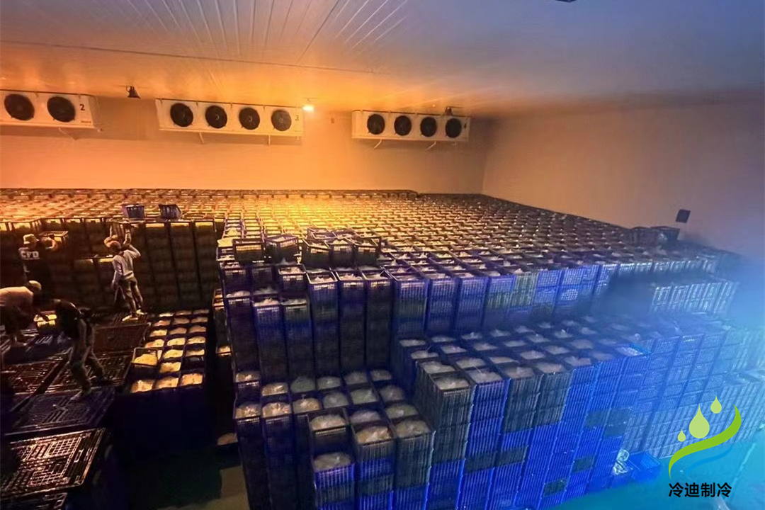 1000立方冷庫可以存多少噸？用多大制冷設(shè)備？