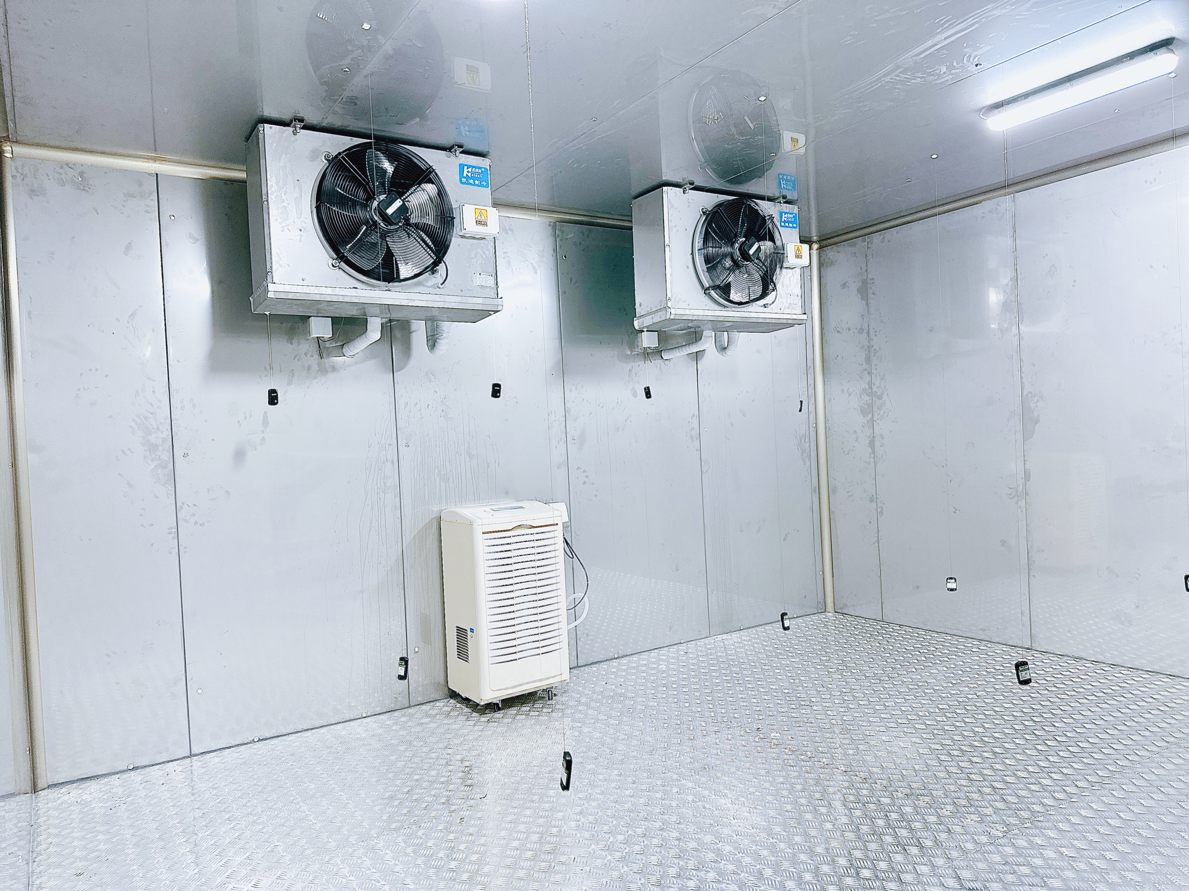 建造一座速凍冷庫(kù)造價(jià)大概多少錢(qián)?(圖1)