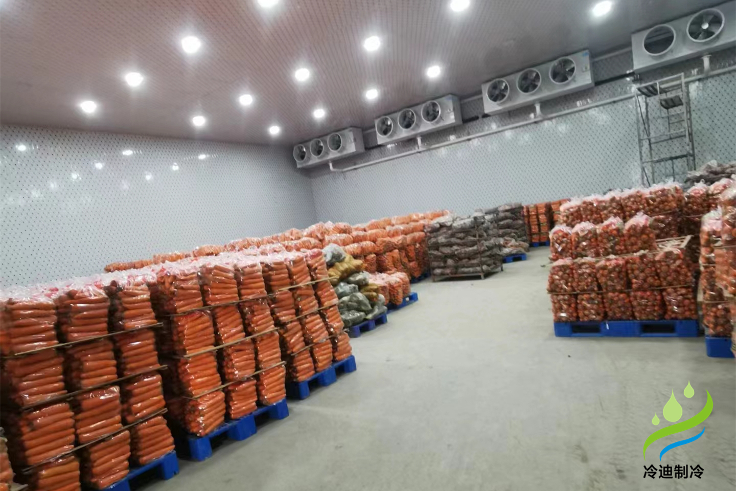 建造冷庫需要哪些費(fèi)用(圖2)